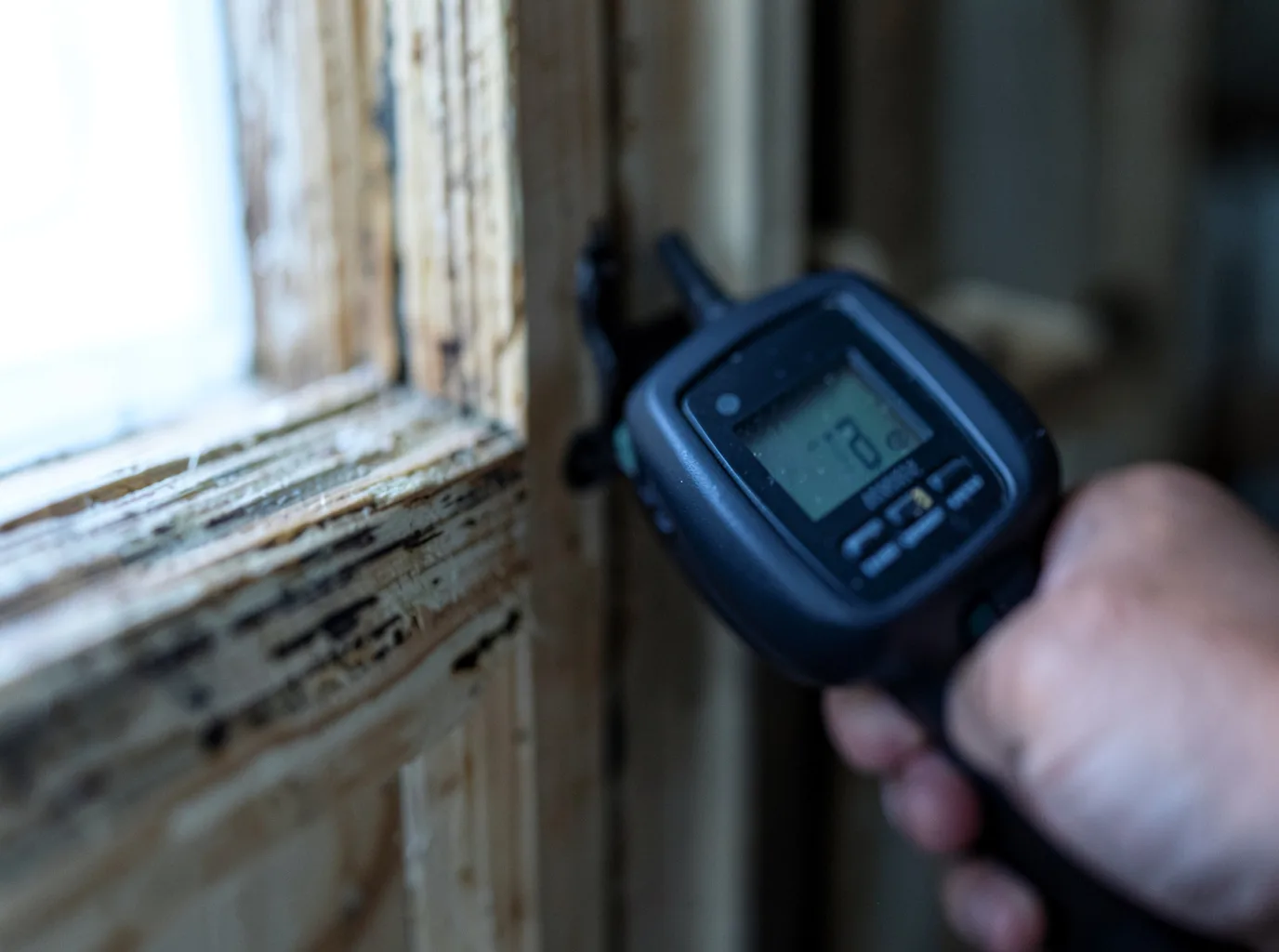 Moisture Inspection And Documentation in Forestville, PA